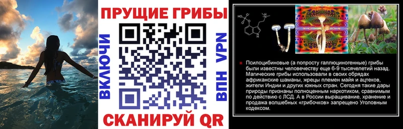 гидра tor  Лянтор  Псилоцибиновые грибы ЛСД  что такое наркотик 